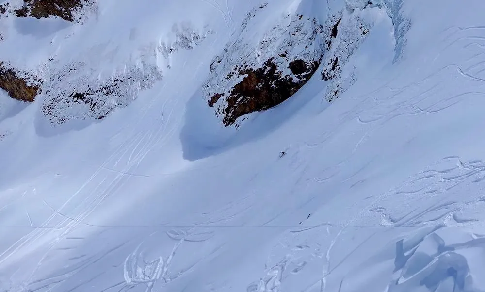 Sortie du couloir Triffide 2