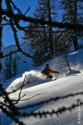 Ski La Grave en forêt