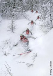 Ski forêt La Grave