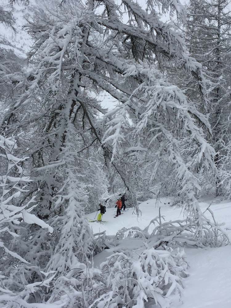 skier La Grave